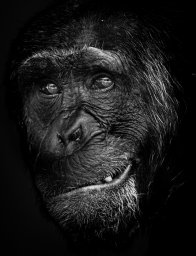 спец по всему спец по всему